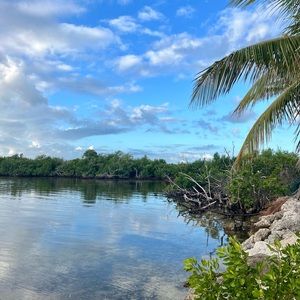 Meet your Posher, Marty